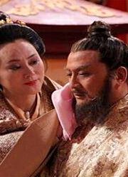 此人开创了“开皇之治”，但是却被世人遗忘，全因有个败家儿子