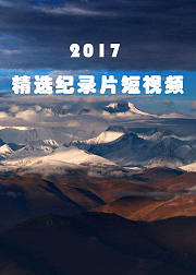 2017精选纪录片短视频