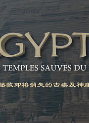 拯救即将消失的古埃及神庙