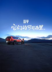 它们的可可西里