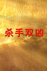 杀手双凶