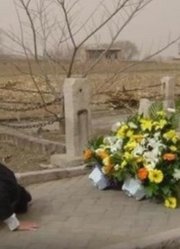 张学良唯一在世的儿子，64岁回到了东北，跪在大帅陵前喊了9个字