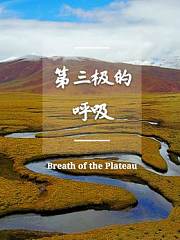 第三极的呼吸
