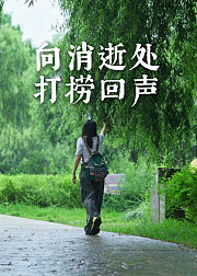 上学路上