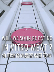 食用培育肉是否指日可待