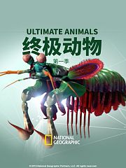 终极动物第1季