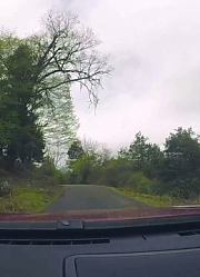 294去波密岗乡看原始森林，道路很窄，会车很麻烦