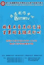 第三届湘赣鄂皖非物质文化遗产联展开幕式