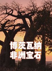 博茨瓦纳，非洲宝石