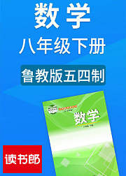 数学八年级下册鲁教版五四制