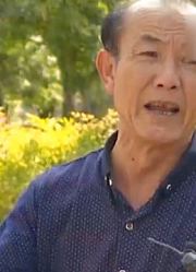 老人数万元补偿款，觉得钱少上门讨要说法，却被继子当众爆出丑闻