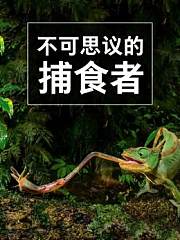 不可思议的捕食者