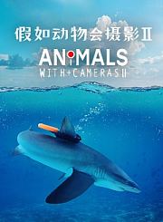 恐龙：最后一日-普通话版