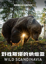野性斯堪的纳维亚