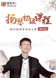 魏砚铭扬琴入门技巧讲解