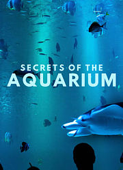 水族馆的奥秘