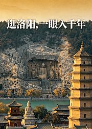 逛洛阳，一眼入千年