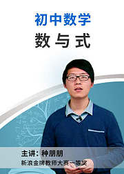 数与式-初中数学专题辅导