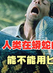 人类在蟒蛇的肚子里，能不能用匕首自救？难道只能被吞掉？