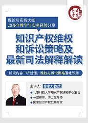 徐家力：知识产权诉讼技巧及应对策略