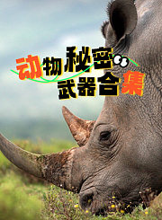 前浪：爱人