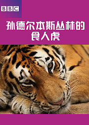 BBC孙德尔本斯丛林的食人虎