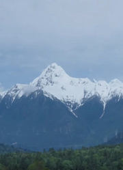 《嗨，青春西藏》丨家在雪山下