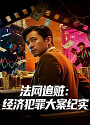 法网追赃：经济犯罪大案纪实