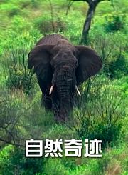 自然奇迹