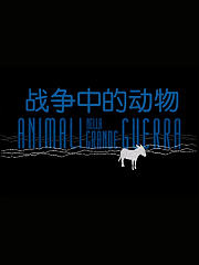 战争中的动物
