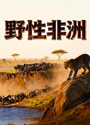 野性非洲