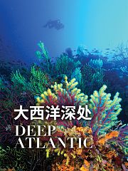 大西洋深处