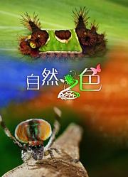 自然之色