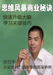 思维风暴商业秘诀