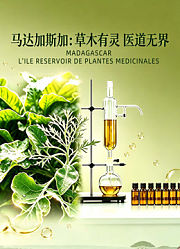 马达加斯加：草木有灵，医道无界