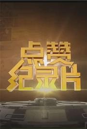 点赞纪录片2015