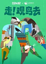 解法第7季