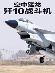 空中猛龙歼10战斗机