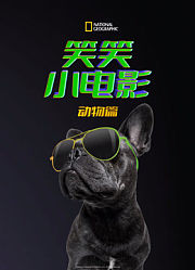 笑笑小电影：动物篇