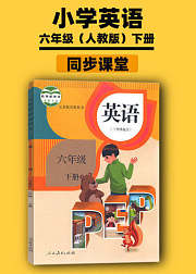 六年级英语下册同步学习人教版