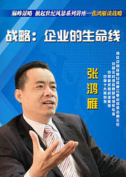 巅峰谋略，掀起世纪风暴之张鸿雁谈战略