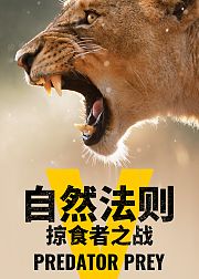 自然法则掠食者之战