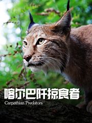 喀尔巴阡掠食者
