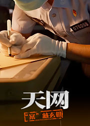 天网案藏玄机