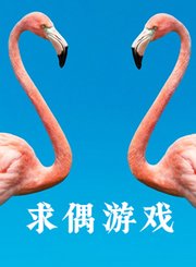 求偶游戏