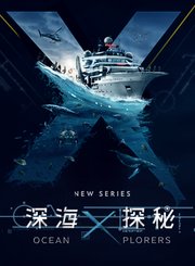 布莱恩考克斯-太阳系