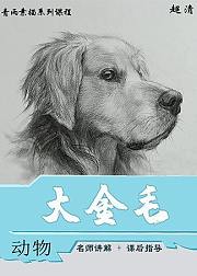 素描动物零基础入门教程-大金毛-青雨素描-安德烈绘画工作室