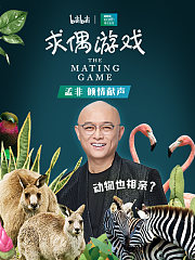 求偶游戏(孟非配音版)