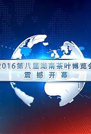 2016第八届茶博会开幕