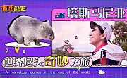 世界尽头奇妙之旅